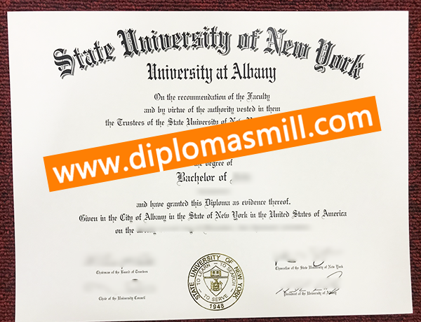 Supply State University of New York Albany Degree