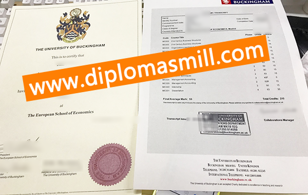 Sale UK University of Buckingham Degree Transcript