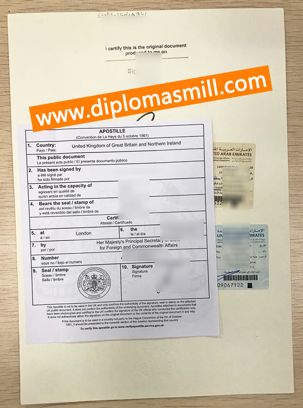 Custom University of Derby Degree Apostille Notary