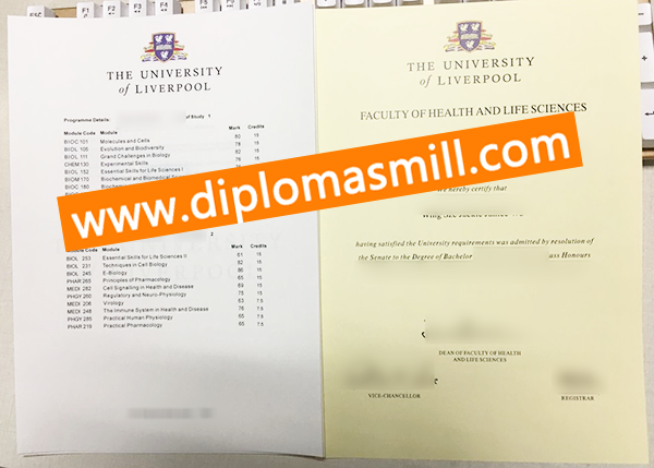 Sale University of Liverpool Degree Transcript