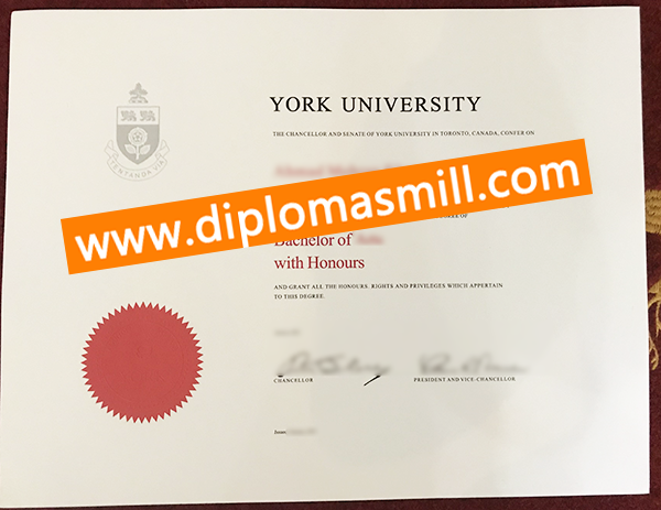 Create cheap York University diploma