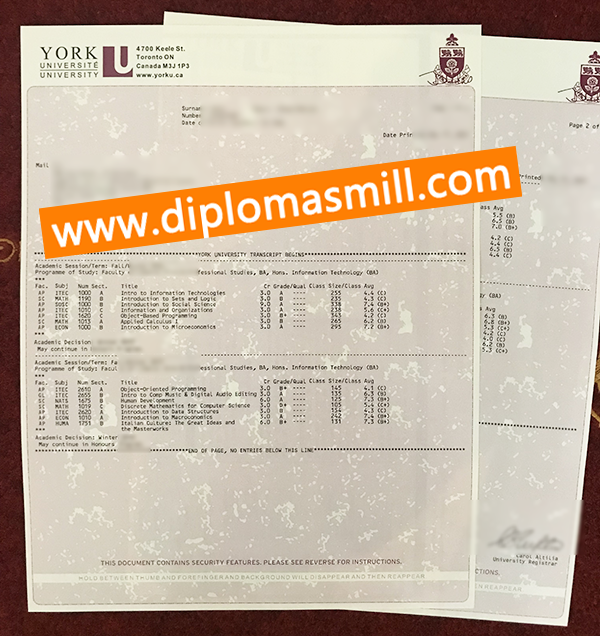 How to custom York University transcript?