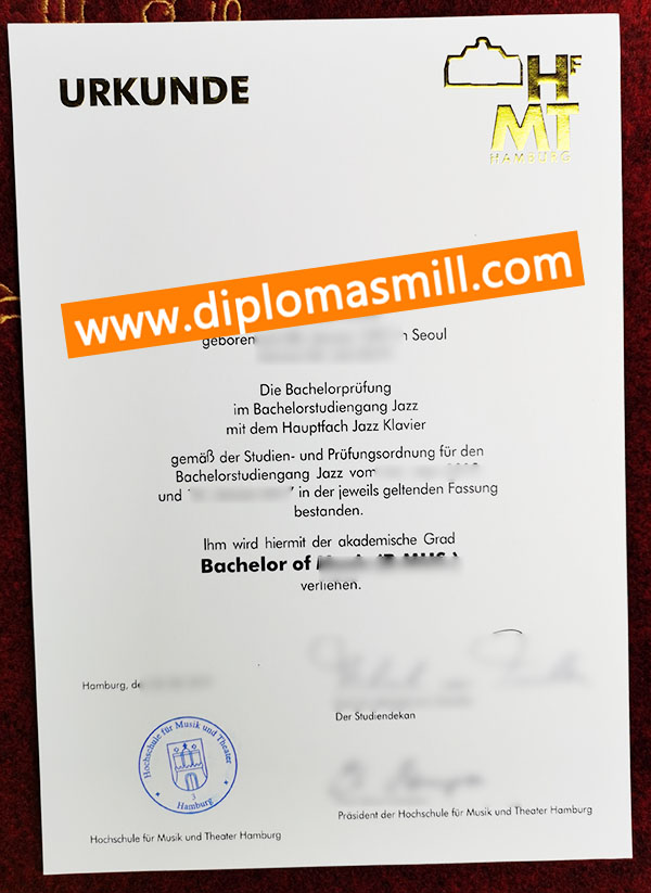Custom fake HfMT Hamburg degree