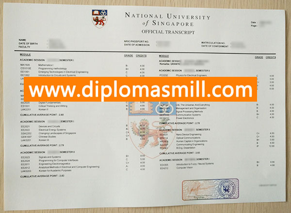 Make official National University of Singapore transcript