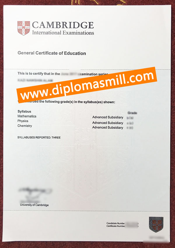 Custom UK Cambridge GCE fake certificate