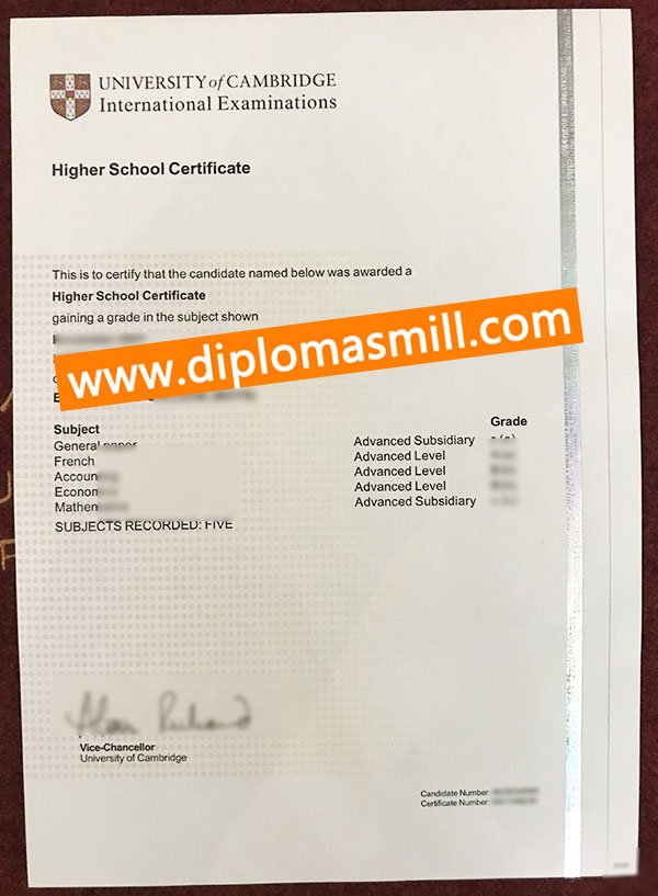 Purchase replica Cambridge HSC Certificate