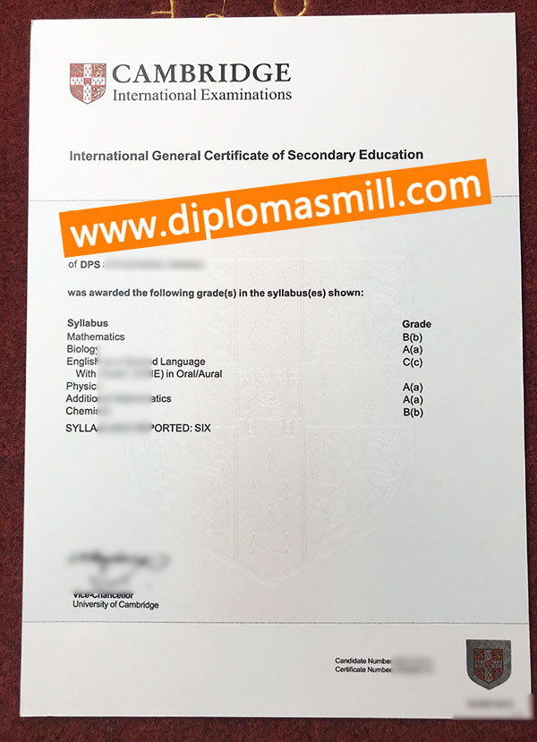 Custom fake Cambridge IGCSE certificate