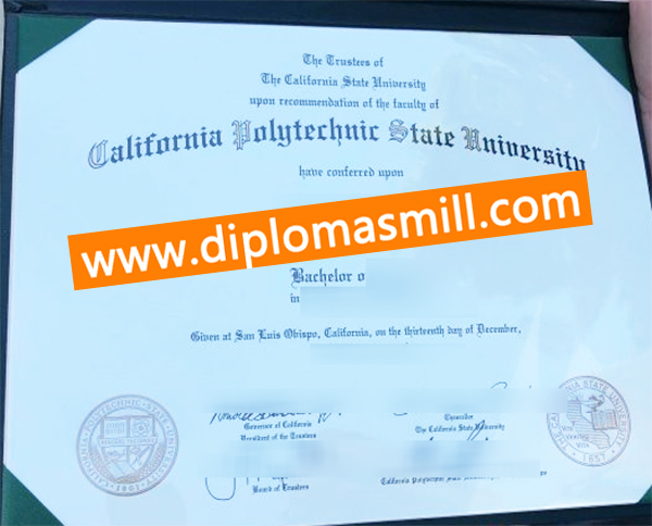 Apply fake California Polytechnic State University diploma