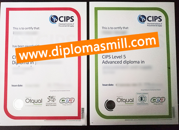 How safe buy fake CIPS diploma online?