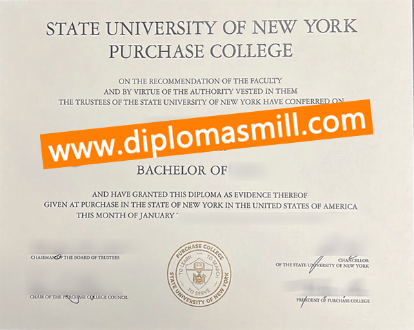 Supply USA fake SUNY Purchase diploma