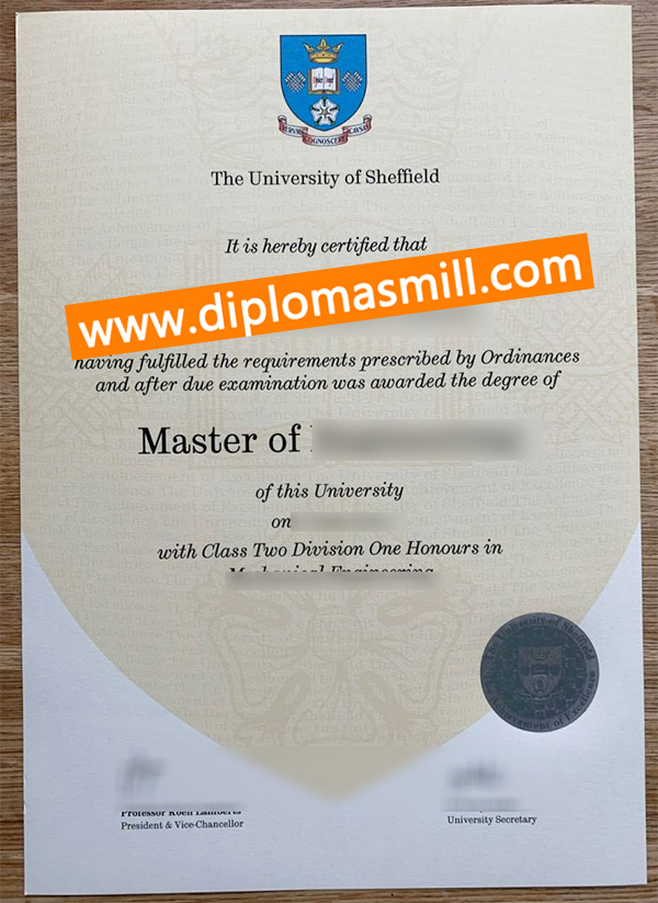 Custom official University of Sheffield diploma