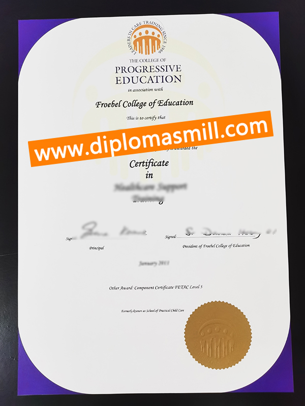How to obtain fake Progressive education certificate?