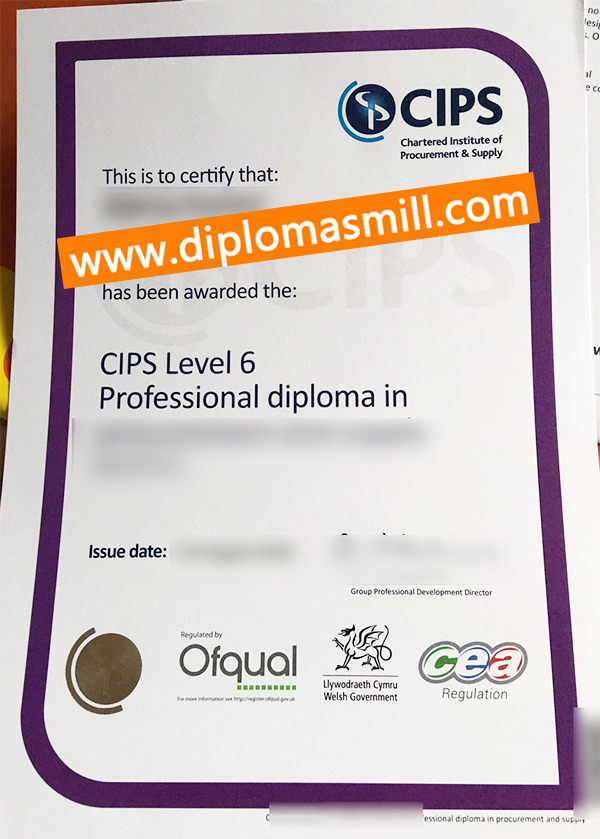 How to custom fake CIPS certificate?