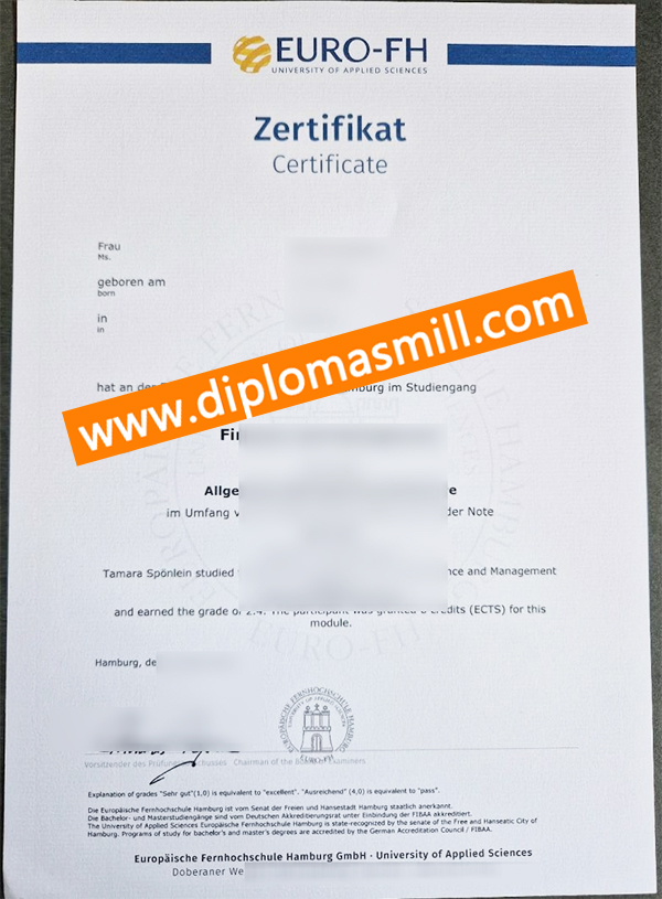 Custom official Euro-FH diploma fast