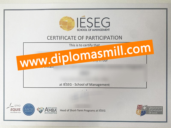 How long buy fake IESEG diploma?