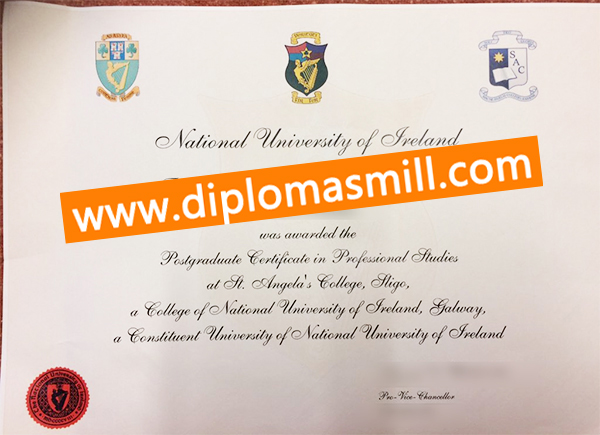 Shopping fake National University of Ireland diploma