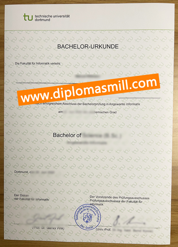 Pick up fake TU Dortmund diploma